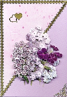 Powiększ