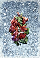 Powiększ
