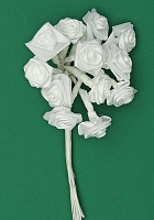 Powiększ