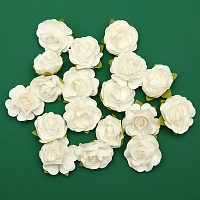 Powiększ
