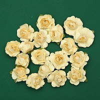 Powiększ