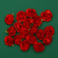 Powiększ
