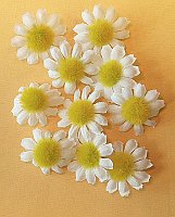 Powiększ