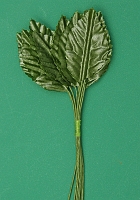 Powiększ