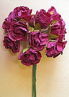 Powiększ