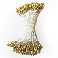 Powiększ