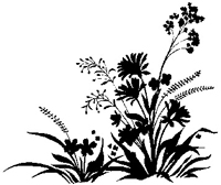 Powiększ