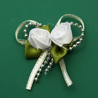 Powiększ