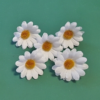 Powiększ