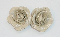 Powiększ
