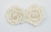 Powiększ