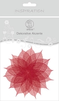 Powiększ