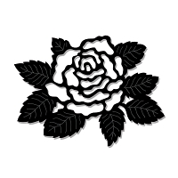 Powiększ