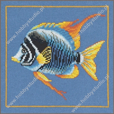 Zamknij