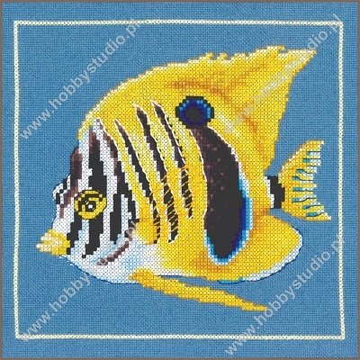 Zamknij