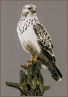 Powiększ