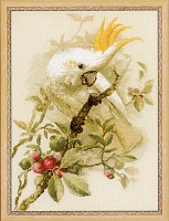 Powiększ