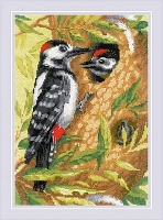 Powiększ