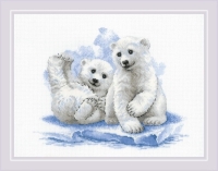 Powiększ