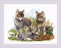 Powiększ