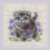 Powiększ