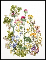 Powiększ