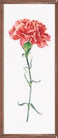 Powiększ
