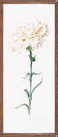 Powiększ