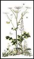 Powiększ